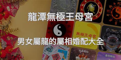 男屬狗女屬龍|屬龍的屬相婚配表攻略，屬龍婚配哪個屬相最好